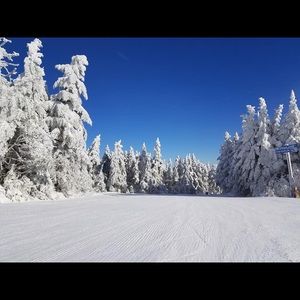 Meet your Posher, Teresa